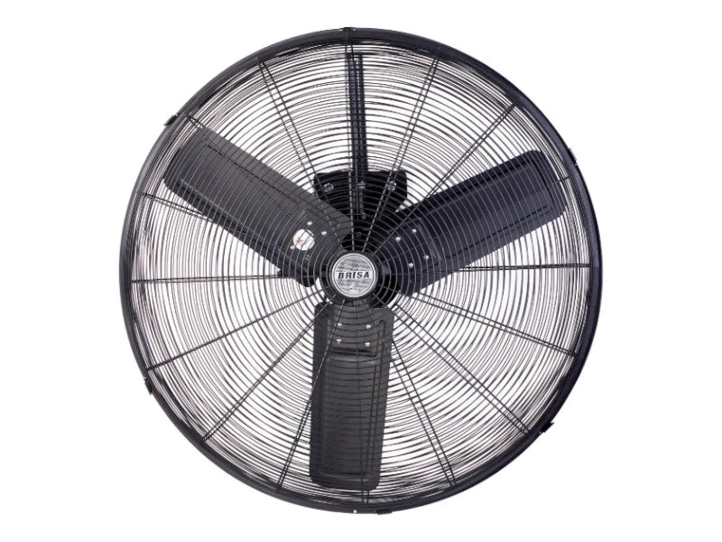 Ventilador Brisa WI-30 30p Pared