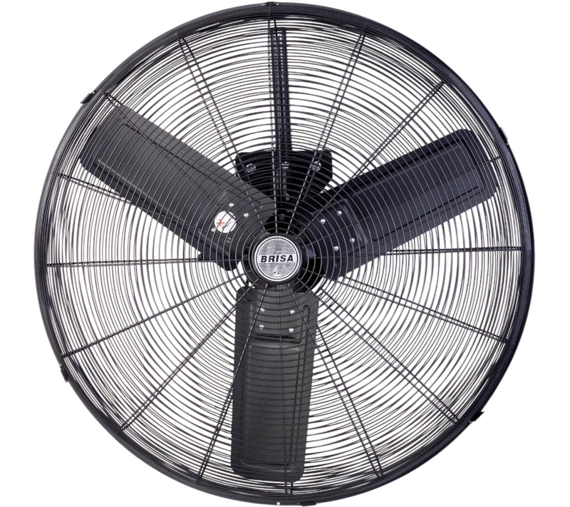 Ventilador Brisa WI-30 30p Pared