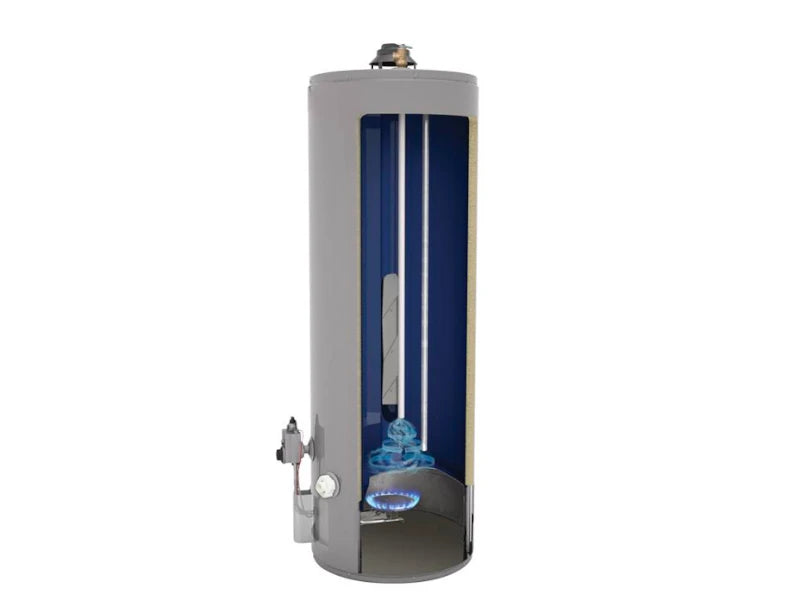 Boiler Rheem 89VP10/572192 10 Galones Gas Natural