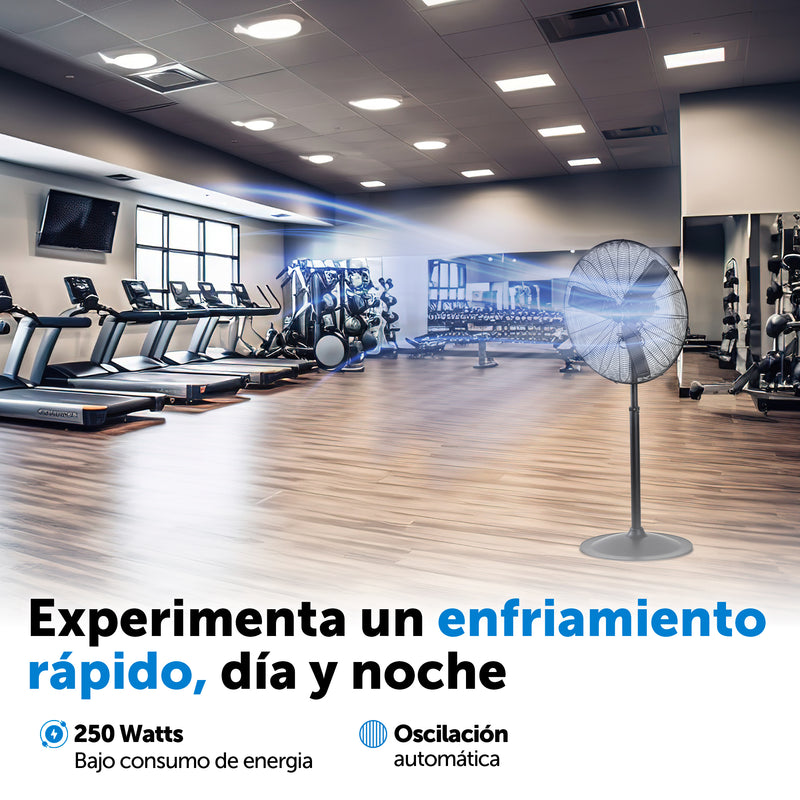 Ventilador Symphony SYF201 30p Pedestal
